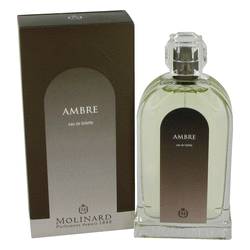 Les Senteurs Ambre