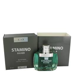 Stamino Silver - Prestige SAS Cologne