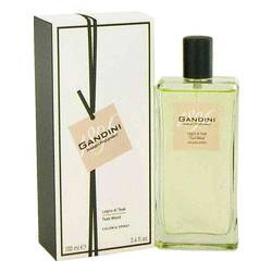 Gandini Teak Wood - Gandini Perfume
