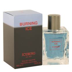 Burning Ice
