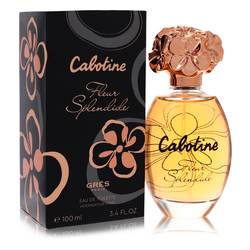 Cabotine Fleur Splendide