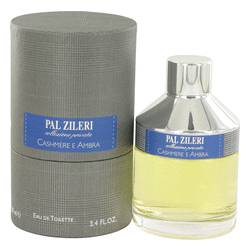 Pal Zileri Cashmere E Ambra