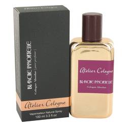 Blanche Immortelle