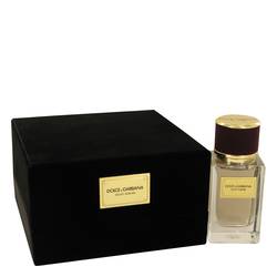Dolce & Gabbana Velvet Sublime