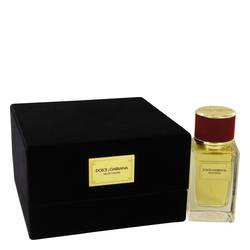Dolce & Gabbana Velvet Desire - Dolce & Gabbana Perfume