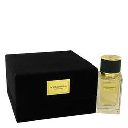 Dolce & Gabbana Velvet Vetiver - Dolce & Gabbana Unisex Fragrance