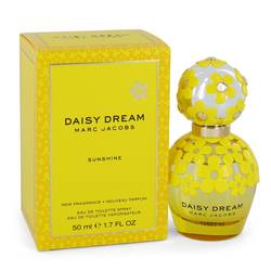 Daisy Dream Sunshine