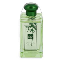 Jo Malone Sorrel & Lemon Thyme