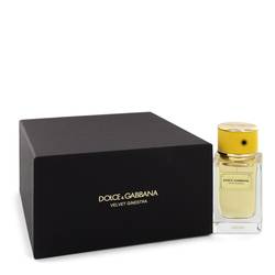 Dolce & Gabbana Velvet Ginestra - Dolce & Gabbana Unisex Fragrance