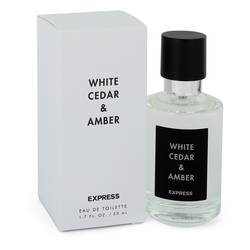 White Cedar & Amber - Express Perfumes