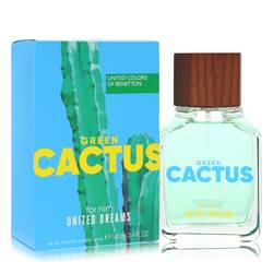 United Dreams Green Cactus
