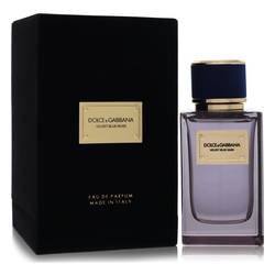 Dolce & Gabbana Velvet Blue Musk