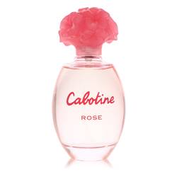 Cabotine Rose