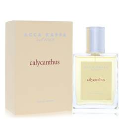 Calycanthus