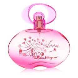 Incanto Bloom