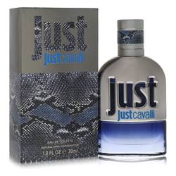 Just Cavalli New