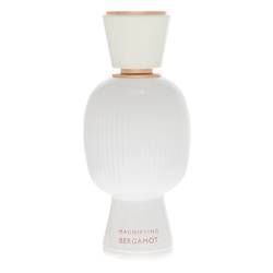 Allegra Magnifying Bergamont