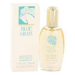 Blue Grass Perfume By Elizabeth Arden Fragrancexcom