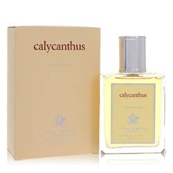 Calycanthus Perfume by Acca Kappa 3.3 oz Eau De Parfum Spray
