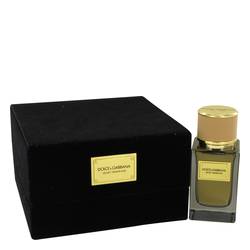 Dolce & Gabbana Velvet Tender Oud Perfume by Dolce & Gabbana Perfume 1.6 oz Eau De Parfum Spray