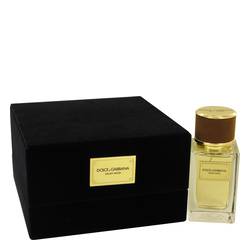 Dolce & Gabbana Velvet Wood Cologne by Dolce & Gabbana Cologne 1.6 oz Eau De Parfum Spray