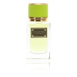 Dolce & Gabbana Velvet Mughetto Perfume by Dolce & Gabbana 1.6 oz Eau De Parfum Spray (Tester)