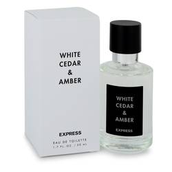 White Cedar & Amber Perfume by Express Perfume 1.7 oz Eau De Toilette Spray