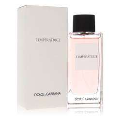 dolce and gabbana number 3 perfume