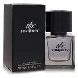 burberry mr burberry review