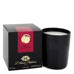 Pour Des Prunes Perfume by L'artisan Parfumeur Perfume 6.2 oz Scented Candle