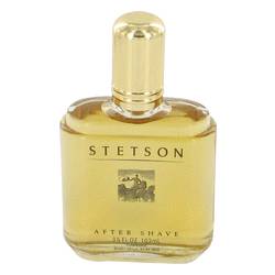 Stetson Cologne by Coty 104 ml After Shave (yellow color)