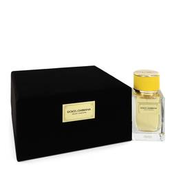 Dolce & Gabbana Velvet Ginestra Perfume by Dolce & Gabbana Perfume 1.6 oz Eau De Parfum Spray (Unisex)