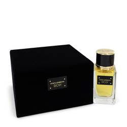 Dolce & Gabbana Velvet Sicily Perfume by Dolce & Gabbana 1.6 oz Eau De Parfum Spray