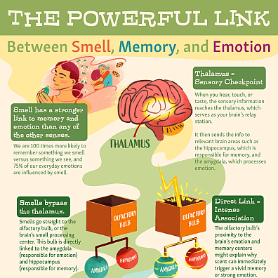 Scent and Memory: What's the Connection?